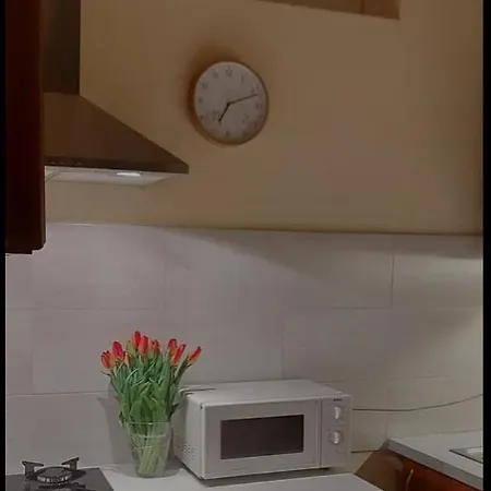 בית הארחה Skorusyna ביאלי דונאייק